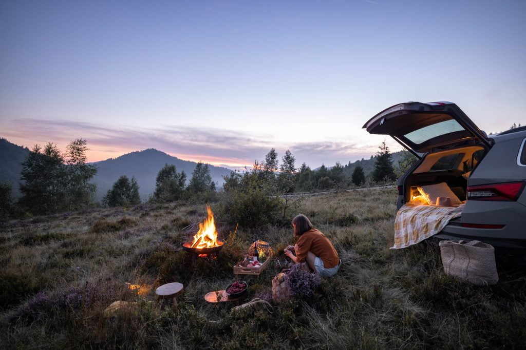 Romantic Picnic