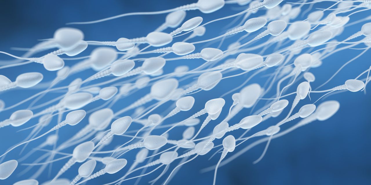 The Role of Nutrition in Sexual Health and Fertility