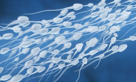 The Role of Nutrition in Sexual Health and Fertility