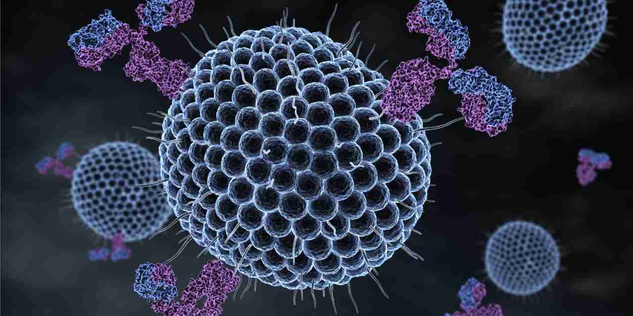 Herpes: Symptoms, Treatment, and Prevention