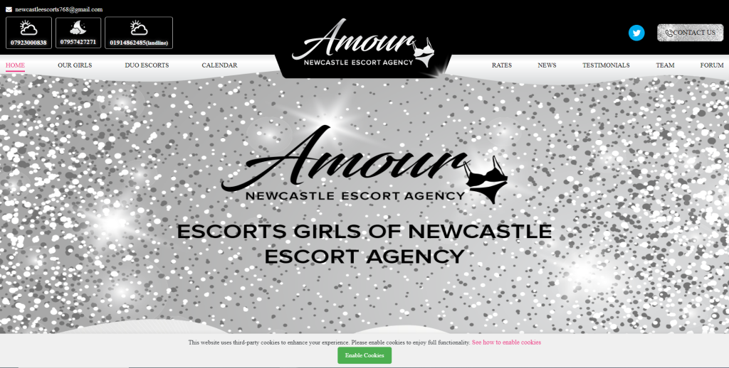 Amour Newcastle Escort Agency