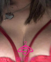 Bella rose rosa 7